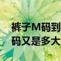 裤子M码到底是多大（（28码还是29码） L码又是多大）