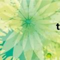 tcl科技股票（TCL）