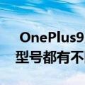  OnePlus9系列将再次由两个型号组成 每个型号都有不同的变化
