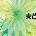 麦芒4如何防止流量偷跑？