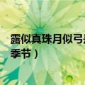 露似真珠月似弓是什么季节的古诗（露似珍珠月似弓是什么季节）