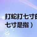 打蛇打七寸的七寸是指的什么（打蛇打七寸的七寸是指）