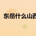 东岳什么山西岳北岳南岳什么山中岳什么山