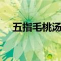 五指毛桃汤的功效与作用（五指毛桃汤）