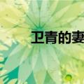 卫青的妻子历史简介（卫青的妻子）