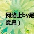 网络上by是什么意思骂人（网络上BY是什么意思）