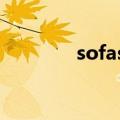 sofas的音标（sofa的音标）