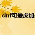 dnf可爱虎加多少名望值2022（dnf可爱虎）