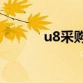 u8采购入库单怎么修改（u8c）