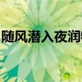 随风潜入夜润物细无声的意思是什么的短视频