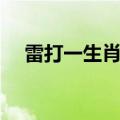 雷打一生肖是什么（雷打火烧打一生肖）