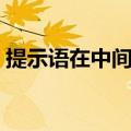 提示语在中间可以用冒号吗（提示语在中间）