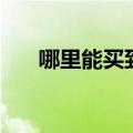哪里能买到鱼胶粉（鱼胶粉哪里有卖）