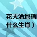 花天酒地指的是什么生肖?（花天酒地指的是什么生肖）