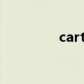 cartridge error refer to
