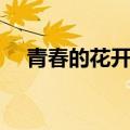 青春的花开花谢歌词（青春的花开花谢）