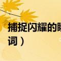 捕捉闪耀的瞬间歌词含义（捕捉闪耀的瞬间歌词）