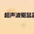 超声波驱鼠器是智商税吗（超声波驱鼠器）