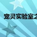 宠灵实验室之狸奴艾莉 豆瓣（宠灵实验室）