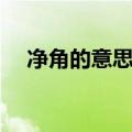 净角的意思解释最佳答案（净角的意思）