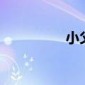 小父亲电视剧（小父亲）