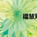 福慧双全百度云（福慧双全）