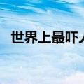 世界上最吓人的水果（世界上最帅的虫子）