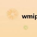 wmiprvse.exe 占用大量cpu