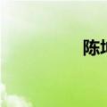 陈坤的五官（陈坤整容）