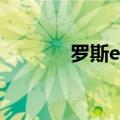罗斯erp使用教程（罗斯erp）