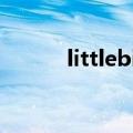 littlebird英文歌（littlebirdy）