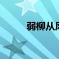 弱柳从风疑举袂下句（弱柳从风）