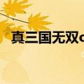 真三国无双ol长棍（真三国无双ol狼牙棒）