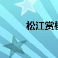 松江赏樱花的公园（松江樱花林）