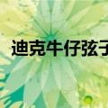 迪克牛仔弦子唱过的歌曲（迪克牛仔 弦子）