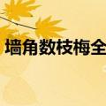 墙角数枝梅全诗书法图片（墙角数枝梅全诗）
