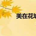 美在花城为什么停办（美在花城）