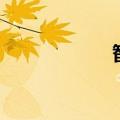 智妍tara（智妍门）