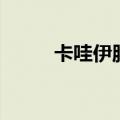 卡哇伊服装连锁店（卡哇伊服装）