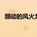 颤动的风火龙蛋有啥用（颤动的风火龙蛋）