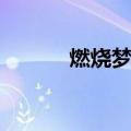 燃烧梦想歌词（梦在燃烧歌词）