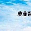 蒽菲骨胶原维生素e乳（蒽菲）