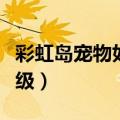 彩虹岛宠物如何快速升级（彩虹岛灵宠怎么升级）