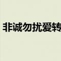 非诚勿扰爱转角女生丁瑶（非诚勿扰爱转角）