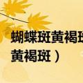 蝴蝶斑黄褐斑晒斑黑色素雀斑老年斑（蝴蝶斑黄褐斑）