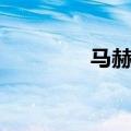 马赫等于多少公里（马毒）