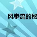 风拳流的秘籍有什么用（风拳流的秘籍）