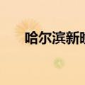 哈尔滨新晚报公众号（哈尔滨新晚报）
