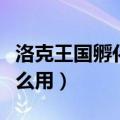 洛克王国孵化器在哪里（洛克王国孵化宝典怎么用）