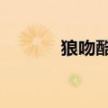 狼吻酷族QQ空间（狼吻酷族）